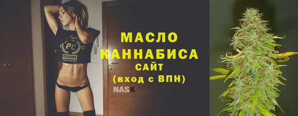соль ск Богданович