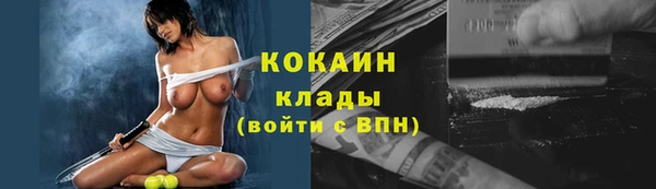 соль ск Богданович