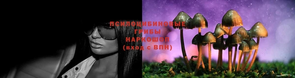 2c-b Богородицк