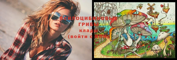 2c-b Богородицк