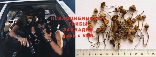2c-b Богородицк