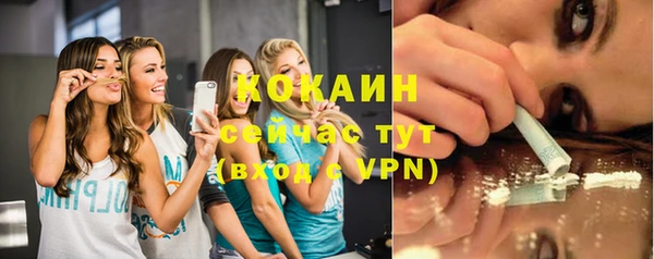 соль ск Богданович
