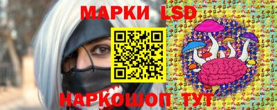 шишки Берёзовский