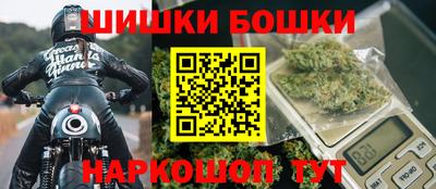 крисы Бийск