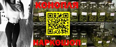 шишки Беслан