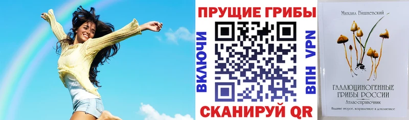 мориарти Telegram как найти закладки Верхняя Пышма Псилоцибиновые грибы прущие грибы
