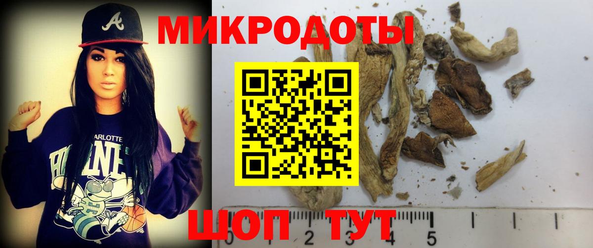 Псилоцибиновые грибы прущие грибы Верхняя Пышма