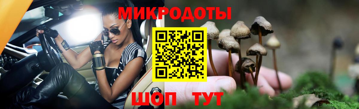 Псилоцибиновые грибы MAGIC MUSHROOMS  Верхняя Пышма  Псилоцибиновые грибы Psilocybe 