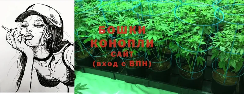 Шишки марихуана OG Kush  Верхняя Пышма 